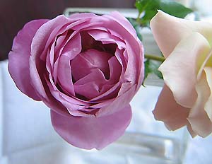 シャルルドゴール